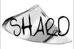 Shard Logo